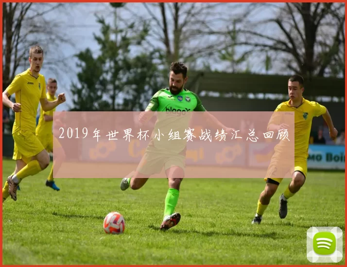 2019年世界杯小组赛战绩汇总回顾