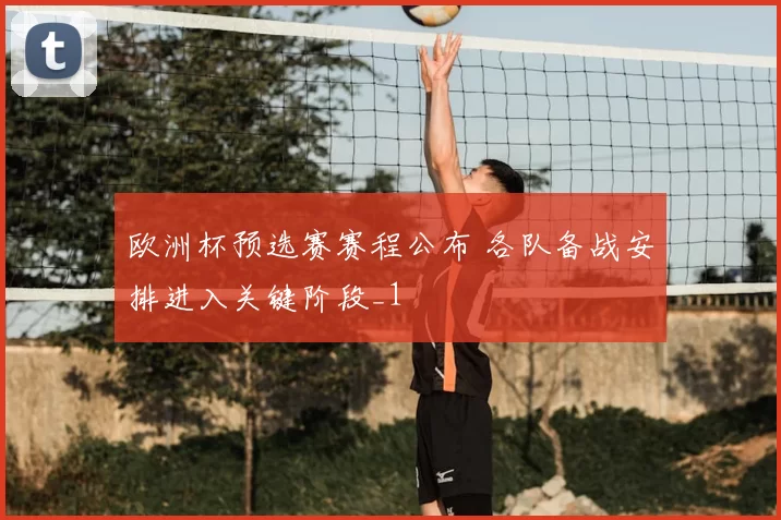 欧洲杯预选赛赛程公布 各队备战安排进入关键阶段_1