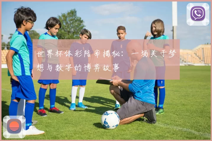 世界杯体彩陪率揭秘：一场关于梦想与数字的博弈故事