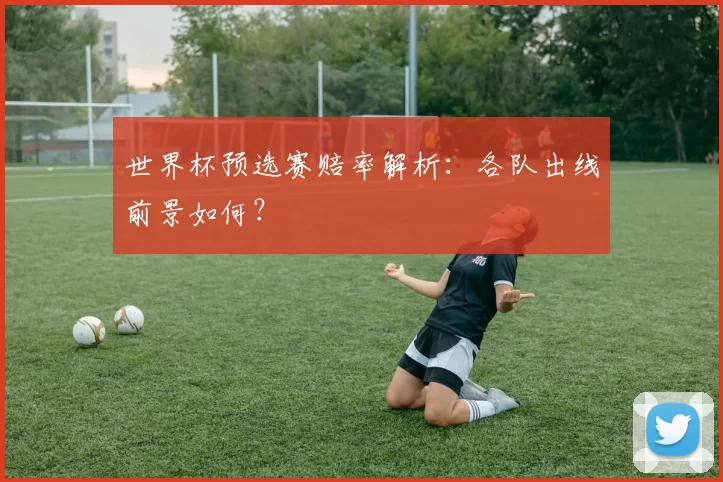 世界杯预选赛赔率解析:各队出线前景如何?