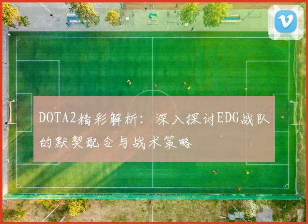 DOTA2精彩解析：深入探讨EDG战队的默契配合与战术策略