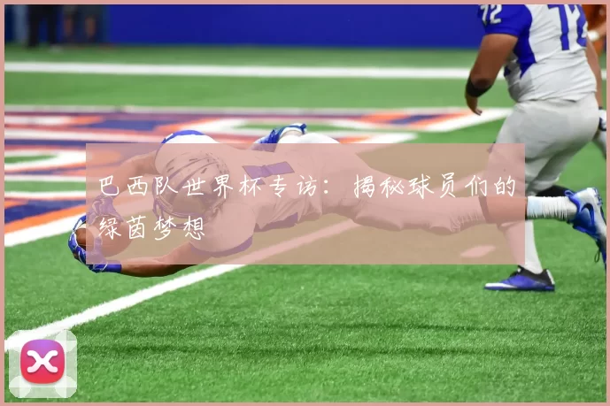 巴西队世界杯专访：揭秘球员们的绿茵梦想