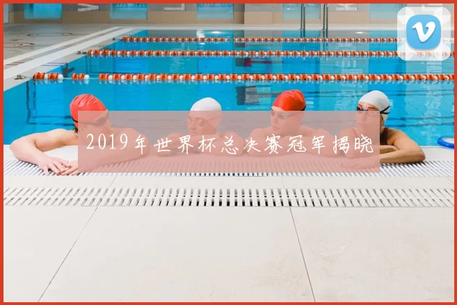 2019年世界杯总决赛冠军揭晓