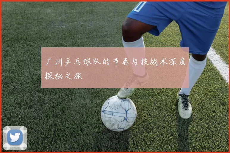 广州乒乓球队的节奏与技战术深度探秘之旅