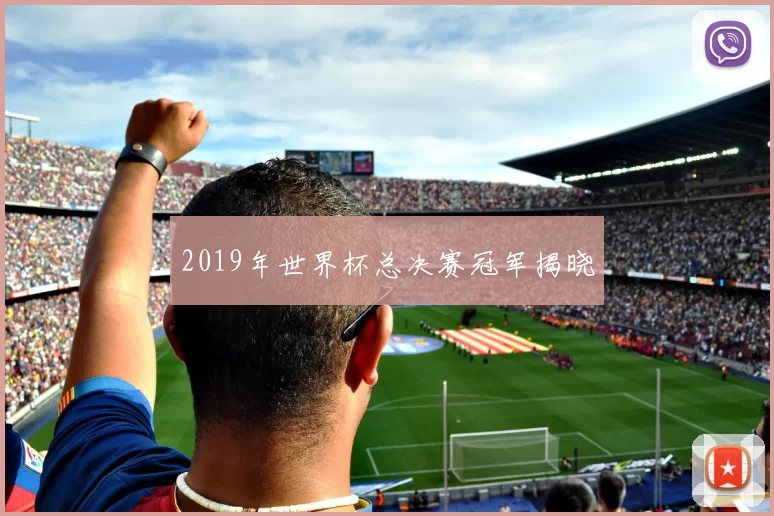 2019年世界杯总决赛冠军揭晓