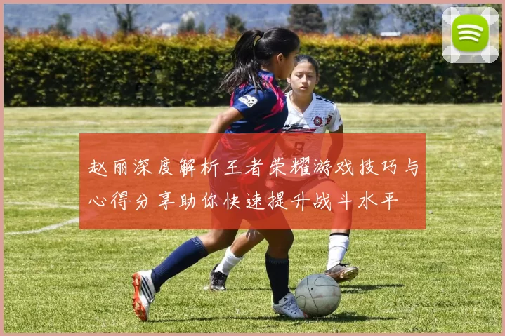 赵丽深度解析王者荣耀游戏技巧与心得分享助你快速提升战斗水平