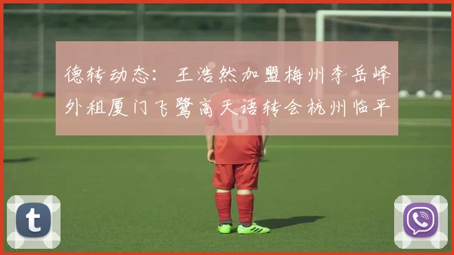 德转动态：王浩然加盟梅州李岳峰外租厦门飞鹭高天语转会杭州临平吴越