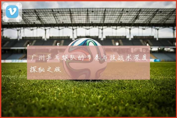 广州乒乓球队的节奏与技战术深度探秘之旅